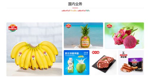 攜手并進(jìn)，共創(chuàng)未來 佳農(nóng)集團(tuán)與巧廚供應(yīng)鏈合作項(xiàng)目正式啟動(dòng)